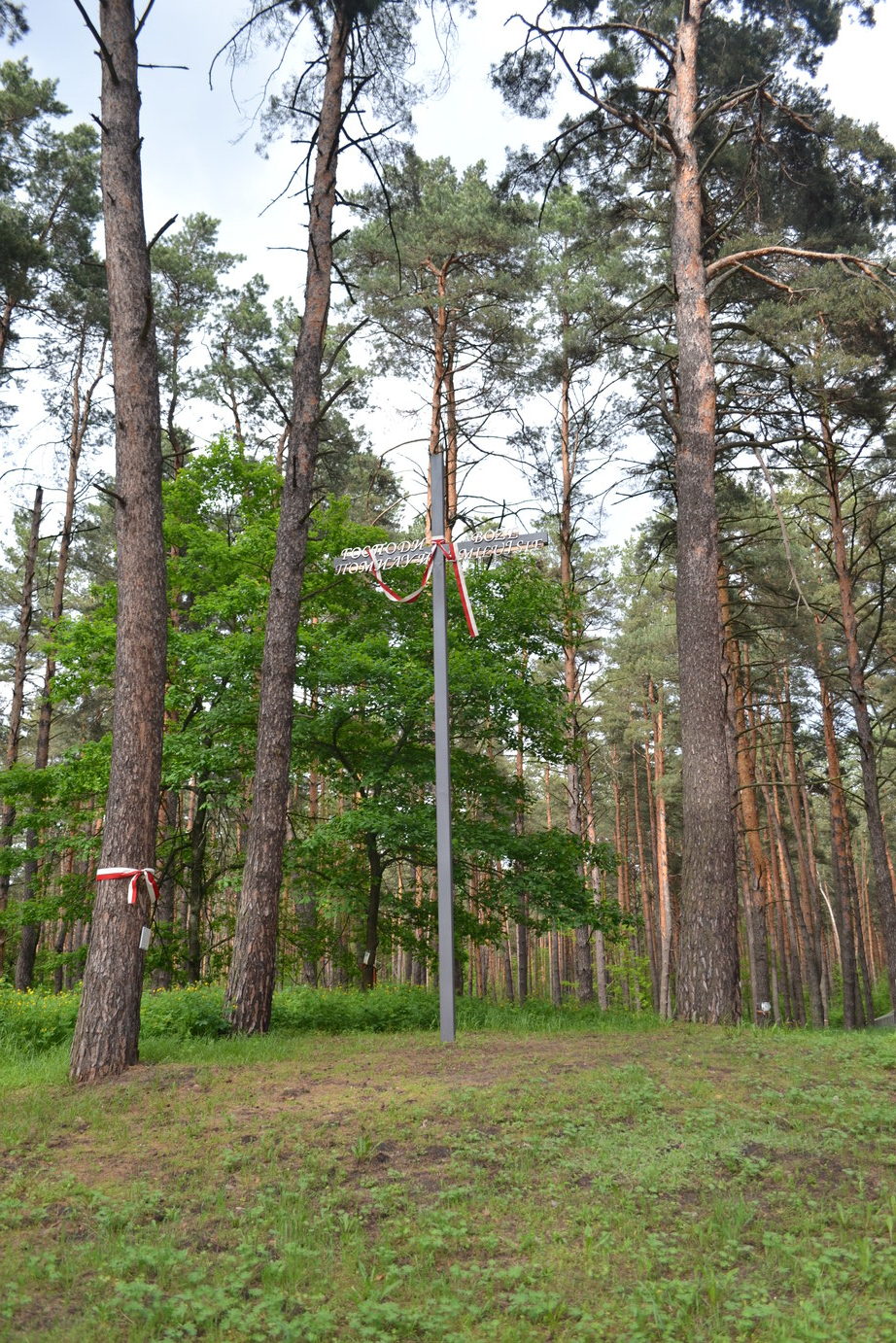 20210529-Bykownia_12 20210529-Bykownia_12